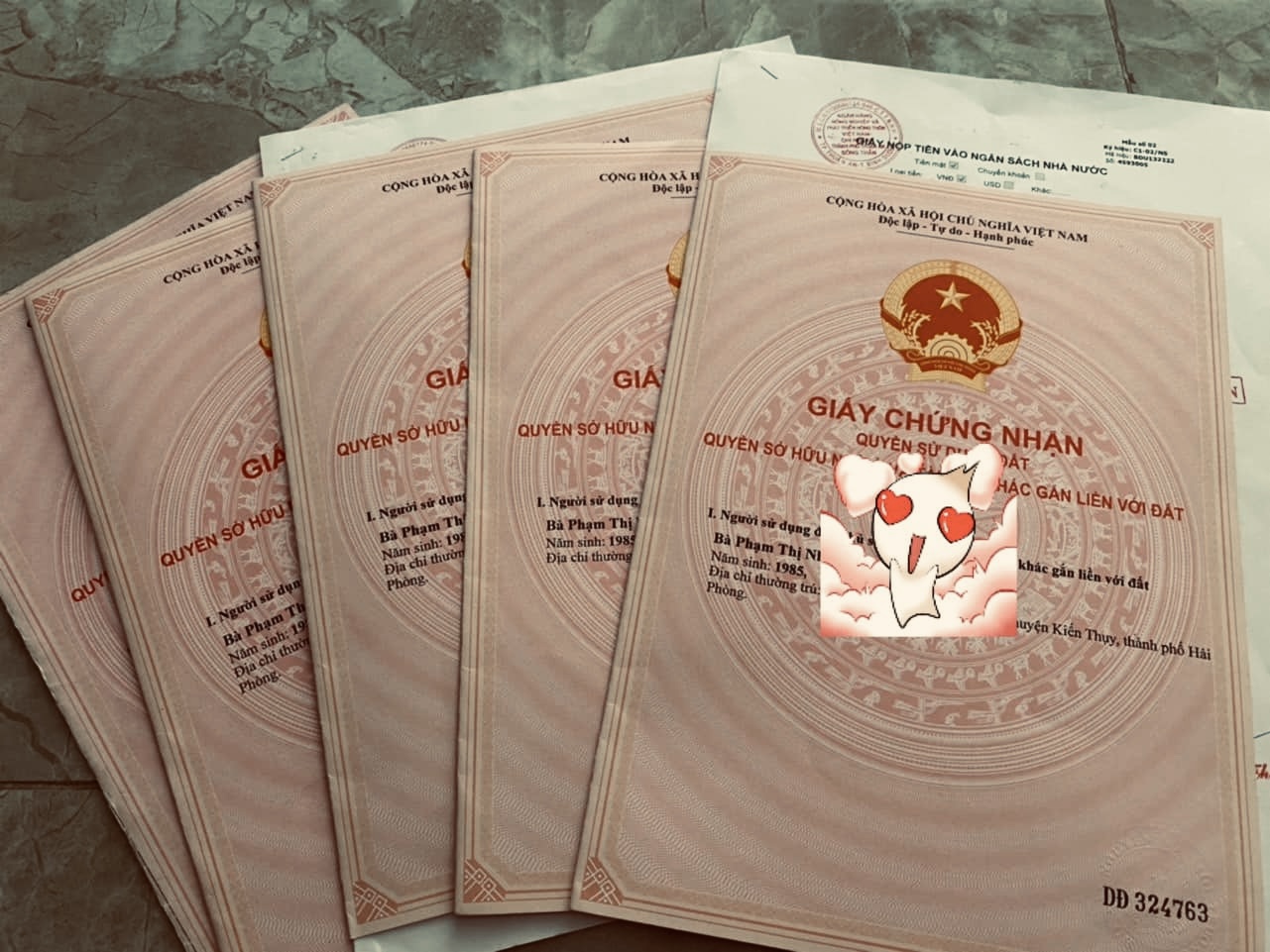 các loại đo đạc địa chính hiện nay