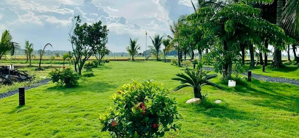 Đất nông nghiệp có tách thửa được không?
