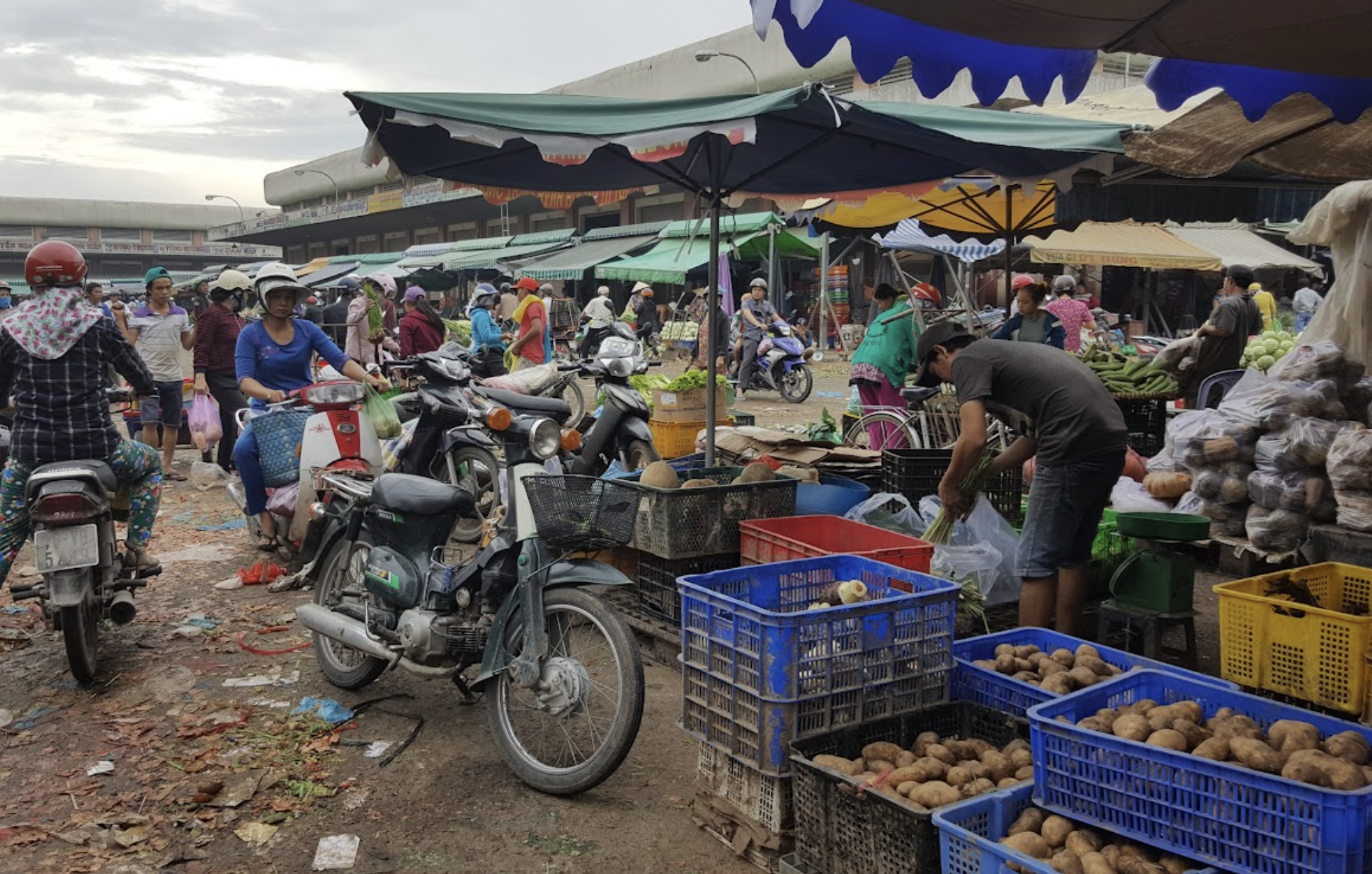 Điểm đặc biệt của chợ Củ Cải ( chợ đầu mối Hóc Môn)