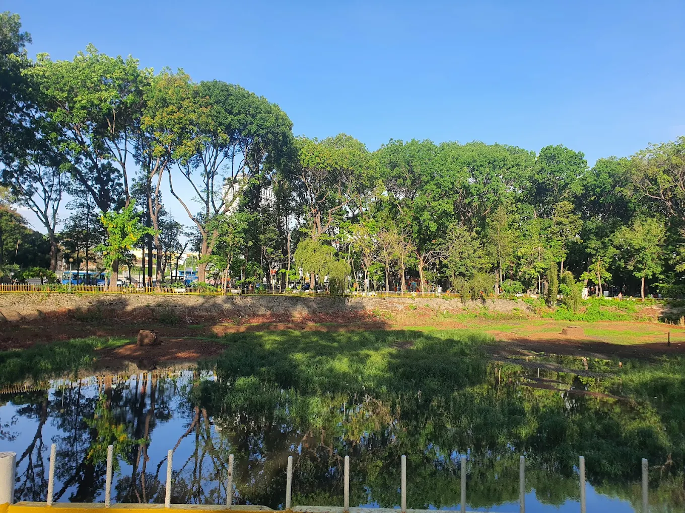 Một góc công viên Hoàng Văn Thụ