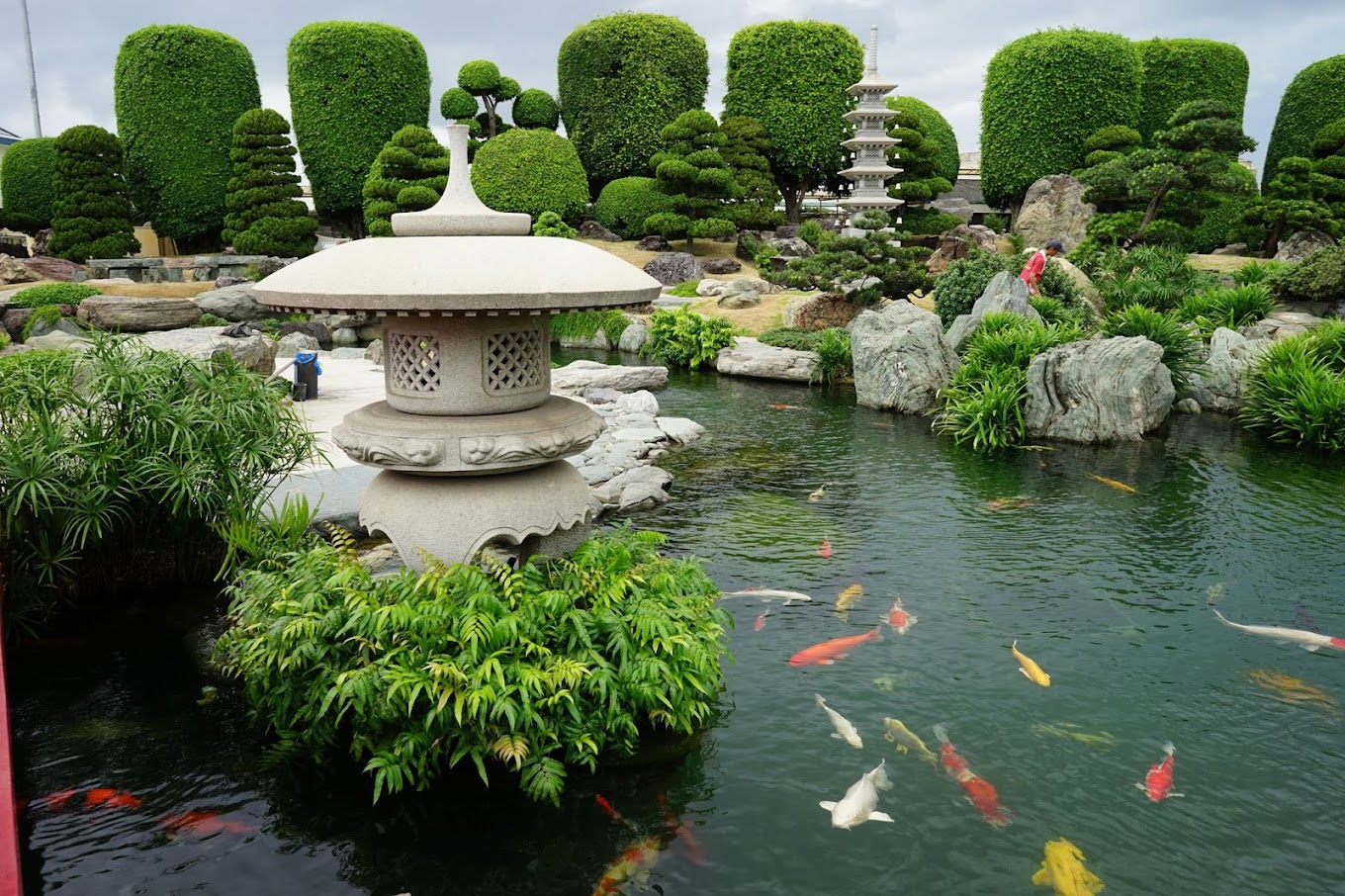 Hồ Cá Koi tại RIN RIN PARK